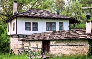 Рози