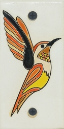 Колибри в оранж
